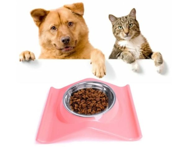 Можно ли давать собаке кошачий корм в пакетиках, сухой или влажный, на сколько опасно?