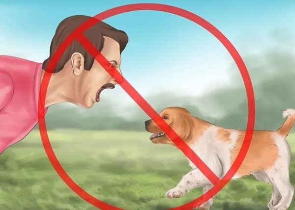 Запрещено орать на собаку