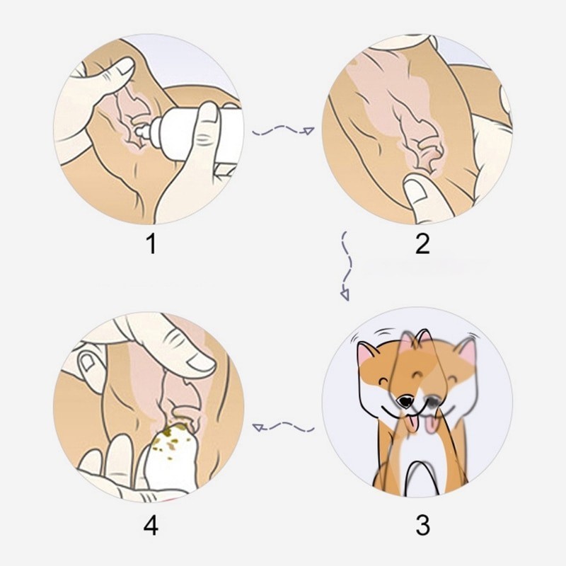 Как правильно чистить собаке уши