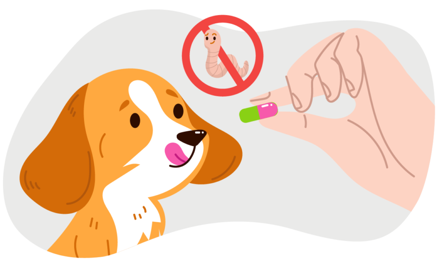Препараты от глистов для собак